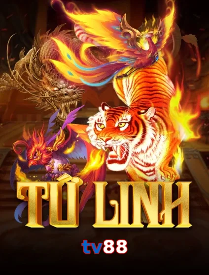 tv88